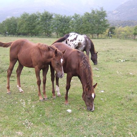 Agriturismo Al Ranch Castello dʼAviano Zewnętrze zdjęcie