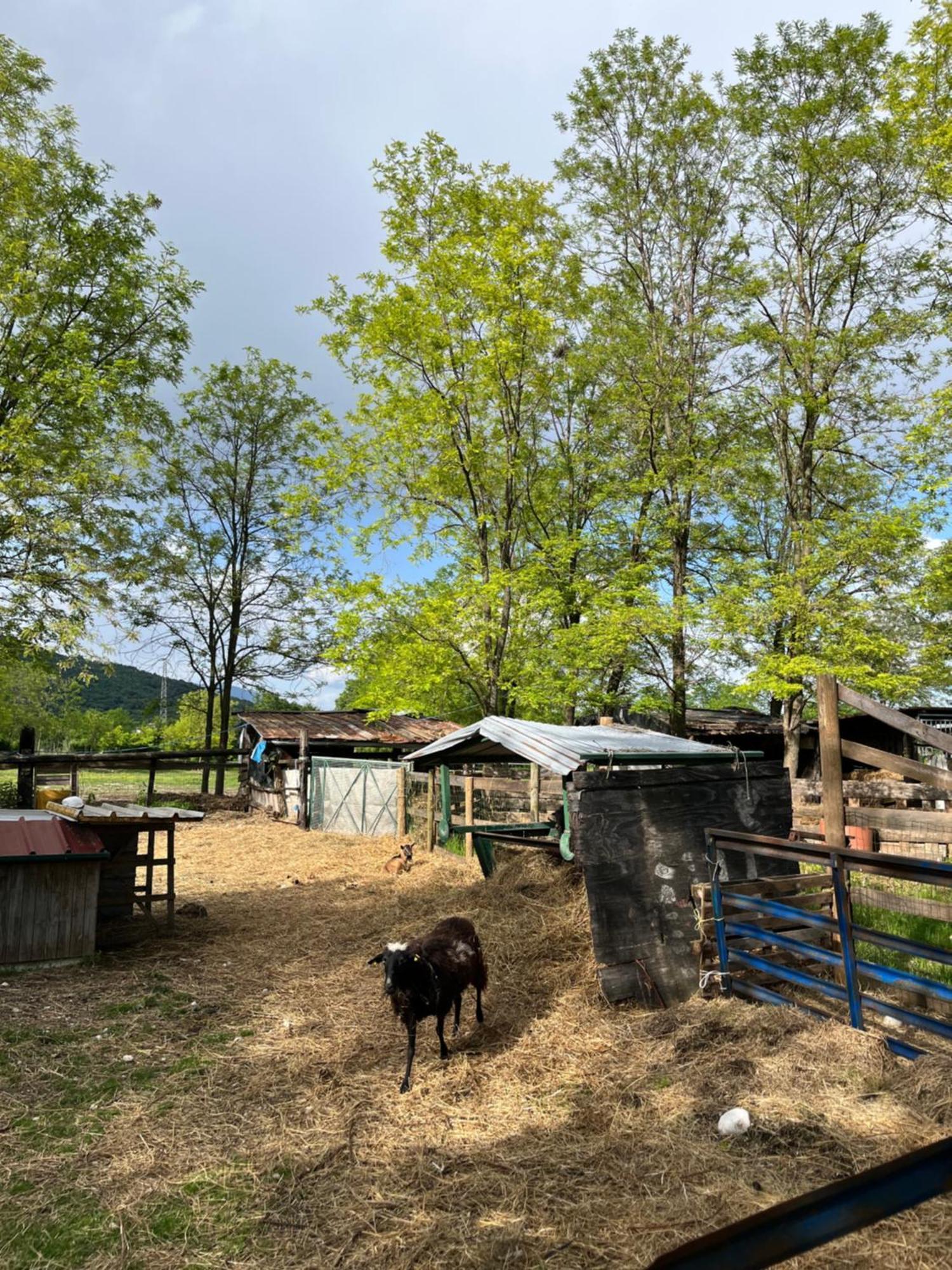 Agriturismo Al Ranch Castello dʼAviano Zewnętrze zdjęcie