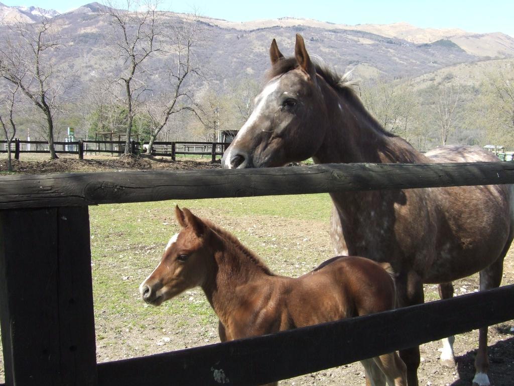 Agriturismo Al Ranch Castello dʼAviano Zewnętrze zdjęcie