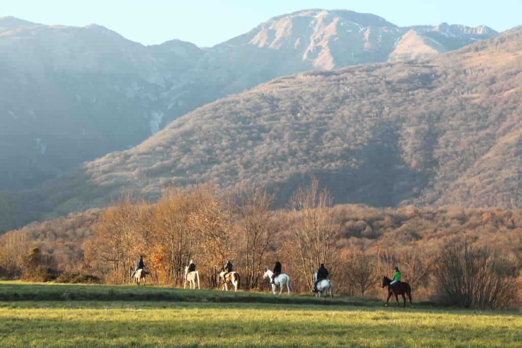 Agriturismo Al Ranch Castello dʼAviano Zewnętrze zdjęcie
